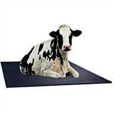 Show products in category Cow & Goat Mats Picture for category Cow & Goat Mats
