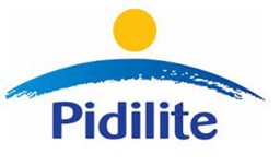 Pidilite Pidilite