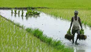 Picture for category Agriculture & Farming Equipment